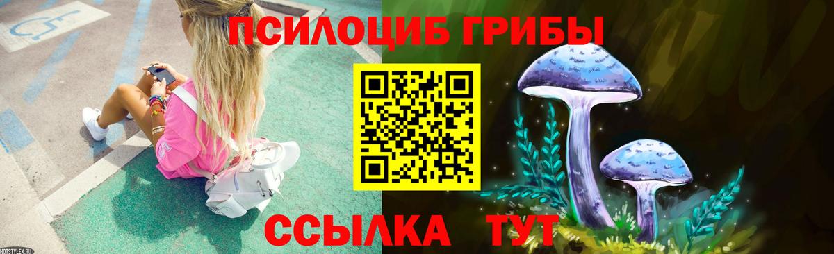 Псилоцибиновые грибы прущие грибы Боровичи